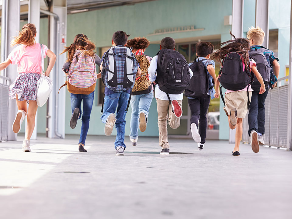 MensaBene - Menu per Scuola Primaria e Secondaria